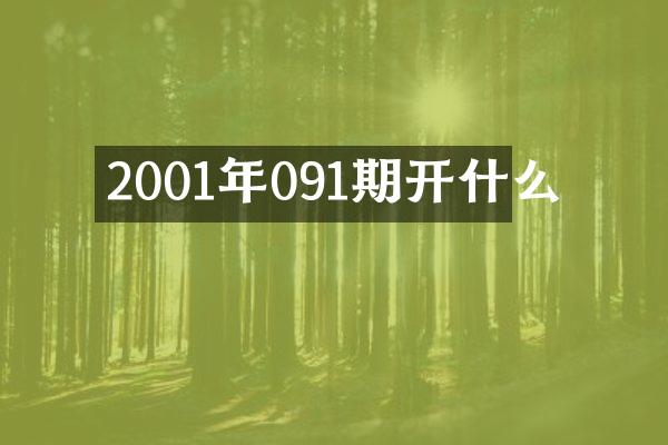 2001年091期开什么