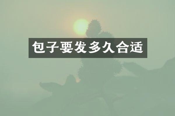 包子要发多久合适