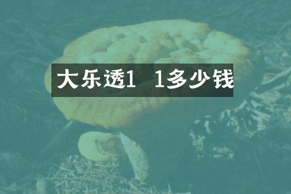 大1  1多少钱