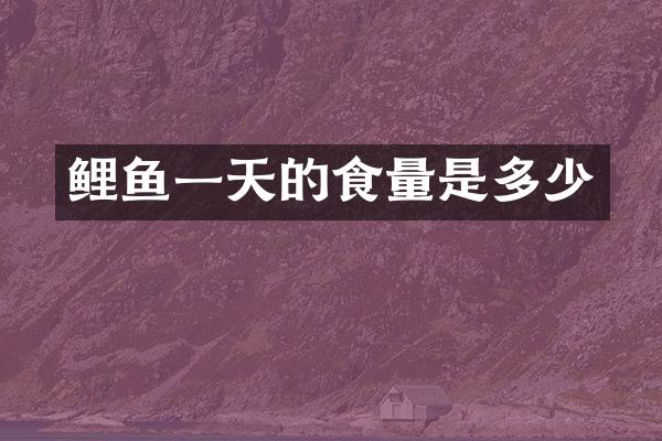 鲤鱼一天的食量是多少