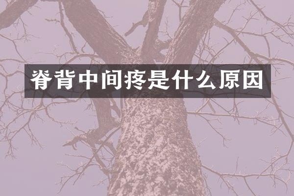 脊背中间疼是什么原因
