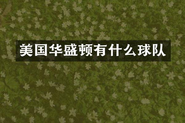 美国华盛顿有什么球队