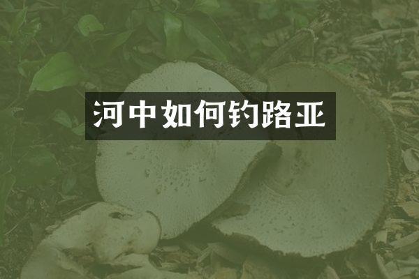 河中如何钓路亚