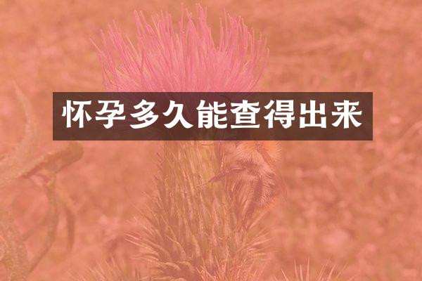 怀孕多久能查得出来
