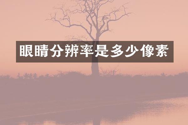 眼睛分辨率是多少像素