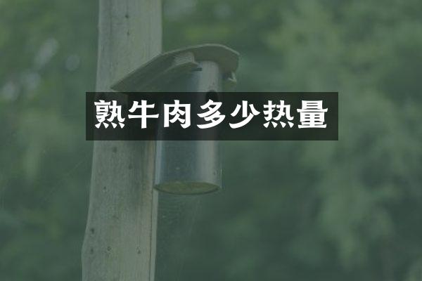 熟牛肉多少热量