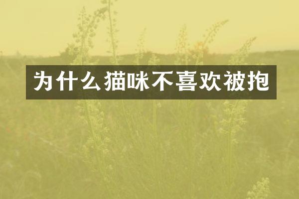 为什么猫咪不喜欢被抱