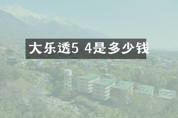大5 4是多少钱