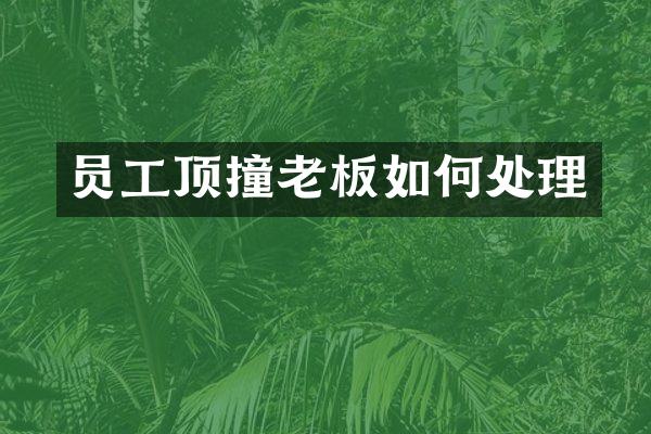 员工顶撞老板如何处理