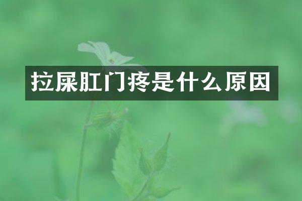 拉屎肛门疼是什么原因
