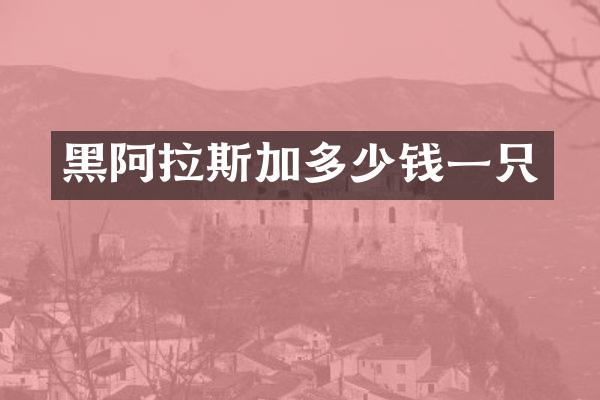 黑阿拉斯加多少钱一只