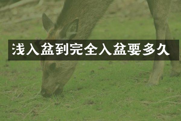 浅入盆到完全入盆要多久