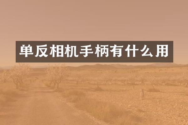 单反相机手柄有什么用