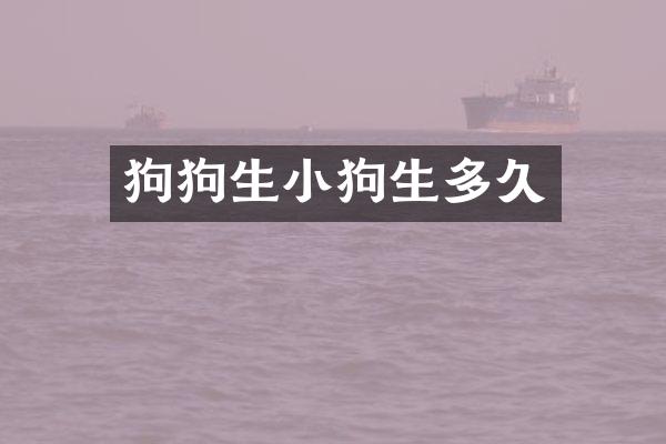 狗狗生小狗生多久