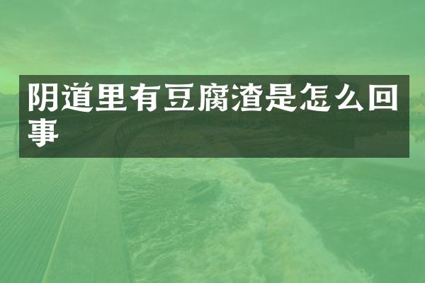 阴道里有豆腐渣是怎么回事
