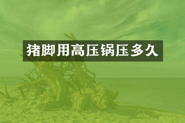 猪脚用高压锅压多久