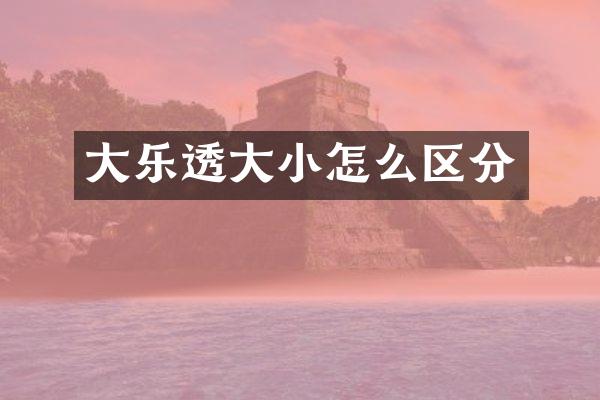 大大小怎么区分