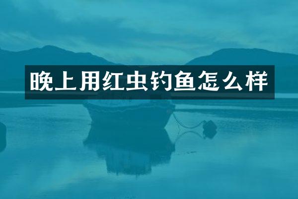 晚上用红虫钓鱼怎么样