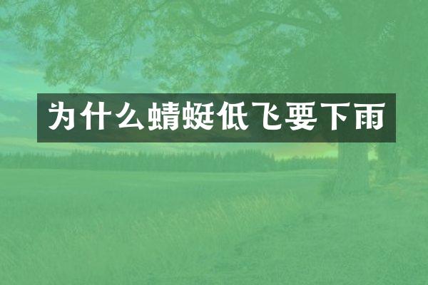 为什么蜻蜓低飞要下雨