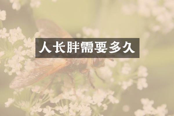 人长胖需要多久