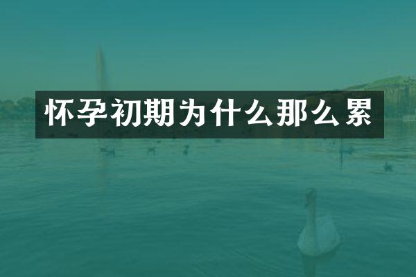 怀孕初期为什么那么累