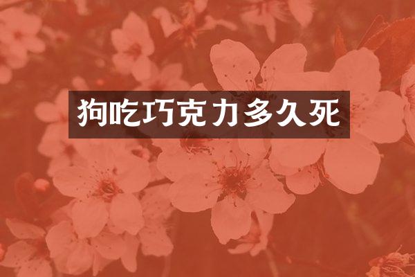 狗吃巧克力多久死