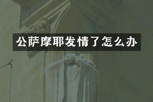 公萨摩耶发情了怎么办