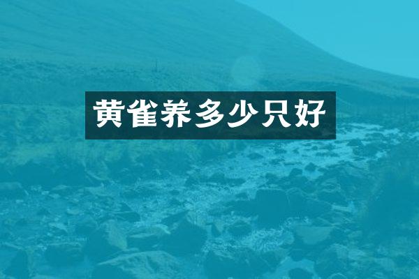 黄雀养多少只好