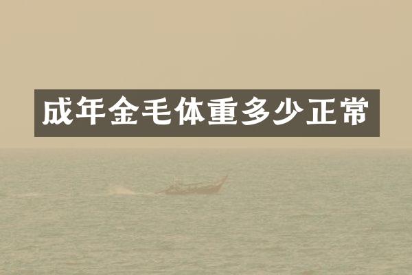 成年金毛体重多少正常