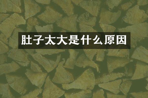 肚子太大是什么原因