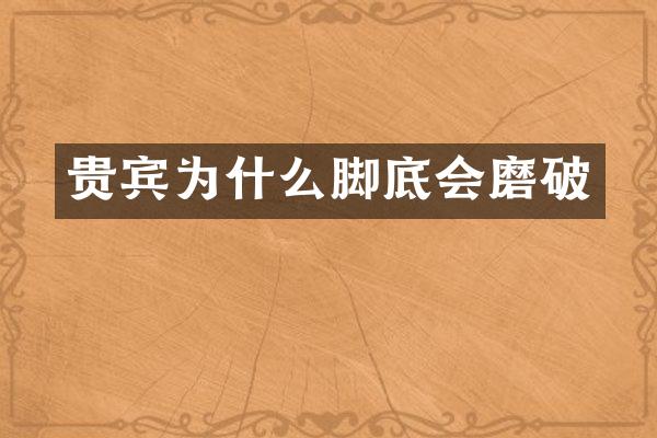 贵宾为什么脚底会磨破