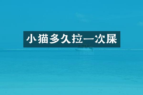 小猫多久拉一次屎