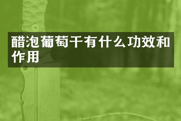 醋泡葡萄干有什么功效和作用