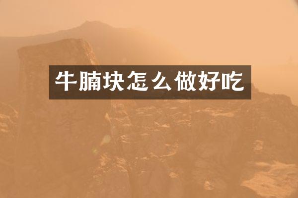 牛腩块怎么做好吃