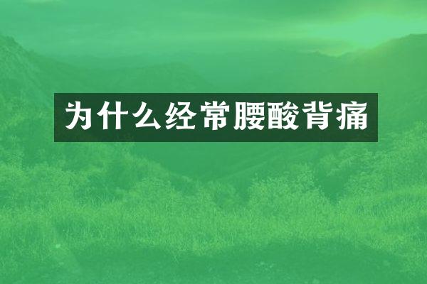 为什么经常腰酸背痛
