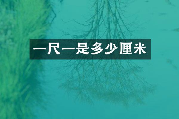 一尺一是多少厘米