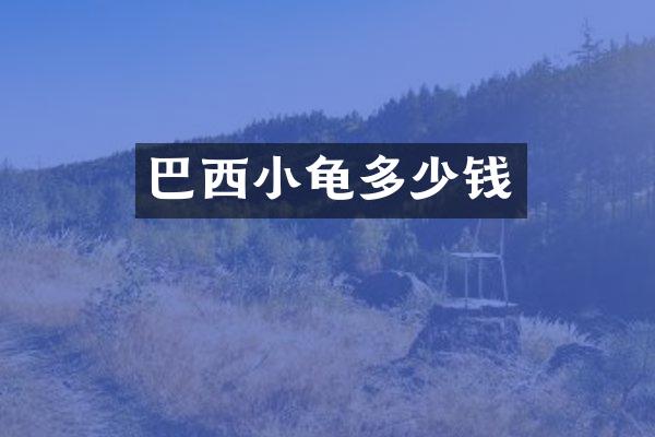 巴西小龟多少钱
