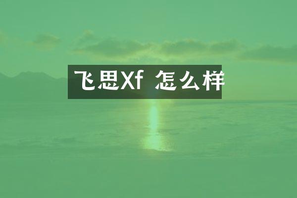飞思Xf 怎么样