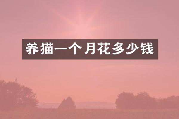 养猫一个月花多少钱