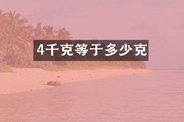4千克等于多少克