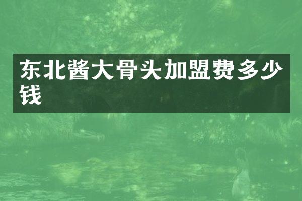东北酱大骨头加盟费多少钱