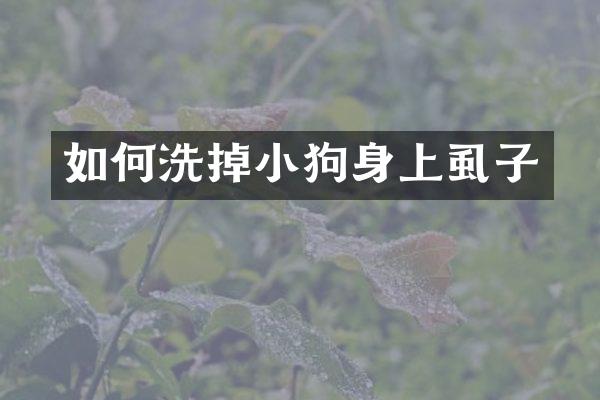 如何洗掉小狗身上虱子