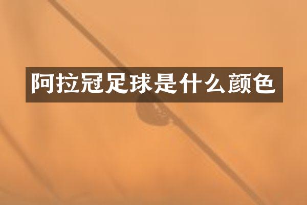 阿拉冠足球是什么颜色