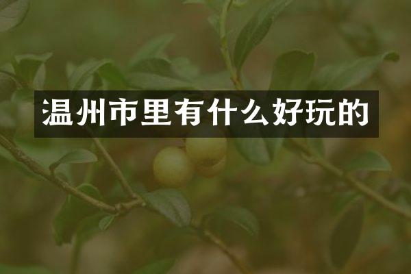 温州市里有什么好玩的