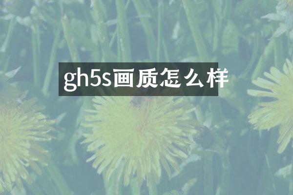 gh5s画质怎么样