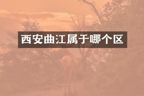 西安曲江属于哪个区