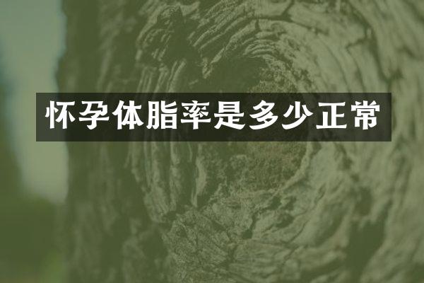 怀孕体脂率是多少正常