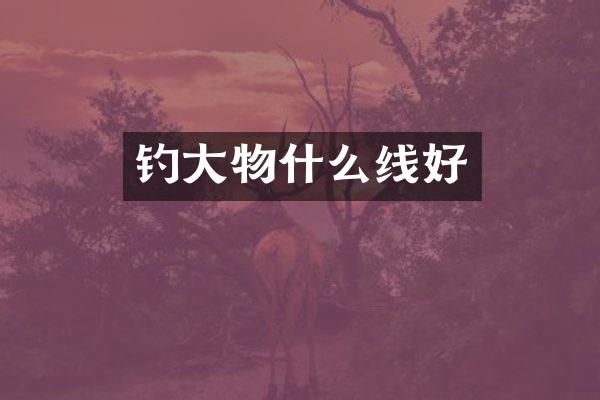 钓大物什么线好