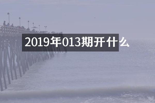 2019年013期开什么