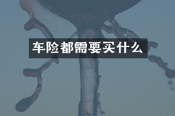 车险都需要